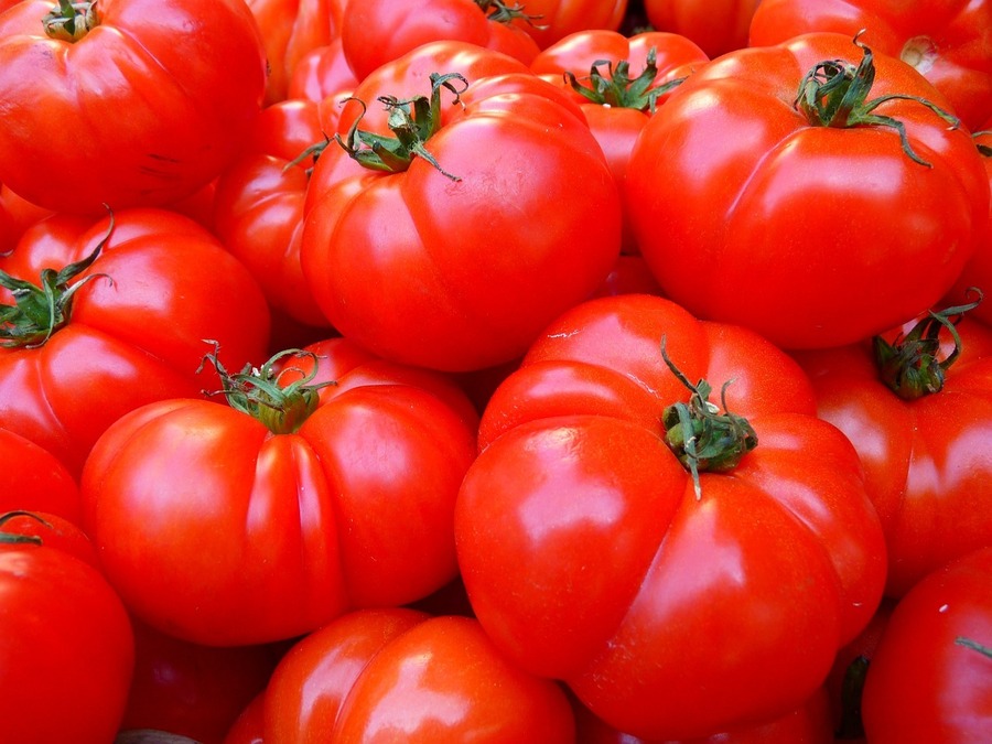 Odlarhemligheten bakom saftiga och söta tomater på din egen gård