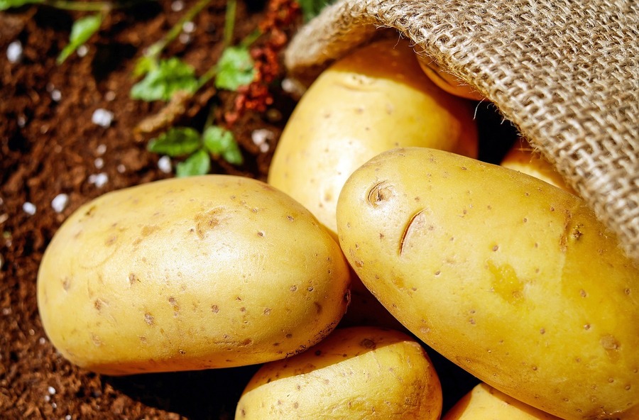 Potatisodling från start till skörd - Min bästa guide för smakrik potatis